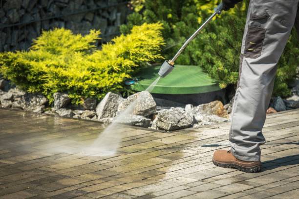Best Pre-Holiday Cleaning  in Pueblo, CO